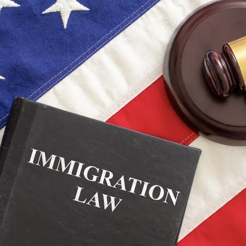 Florida Authorities Arrest Undocumented Migrant Under State’s New Law